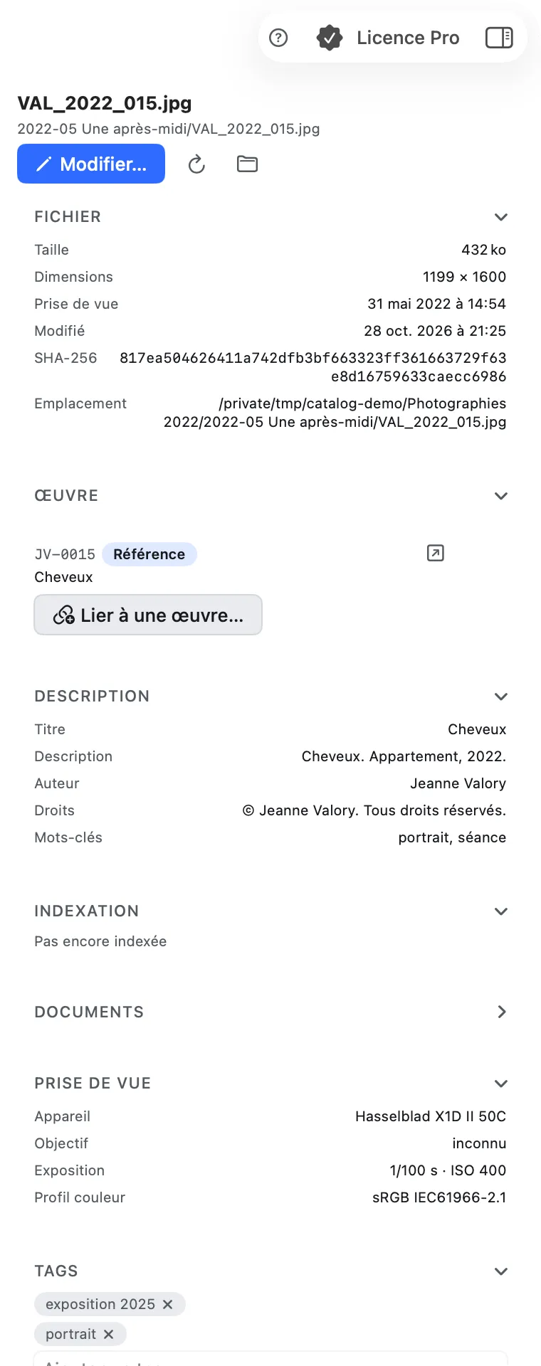 L’inspecteur d’un fichier : boutons « Modifier… », relire et Finder ; sections Fichier, Œuvre, Description, Indexation, Documents, Prise de vue, Tags