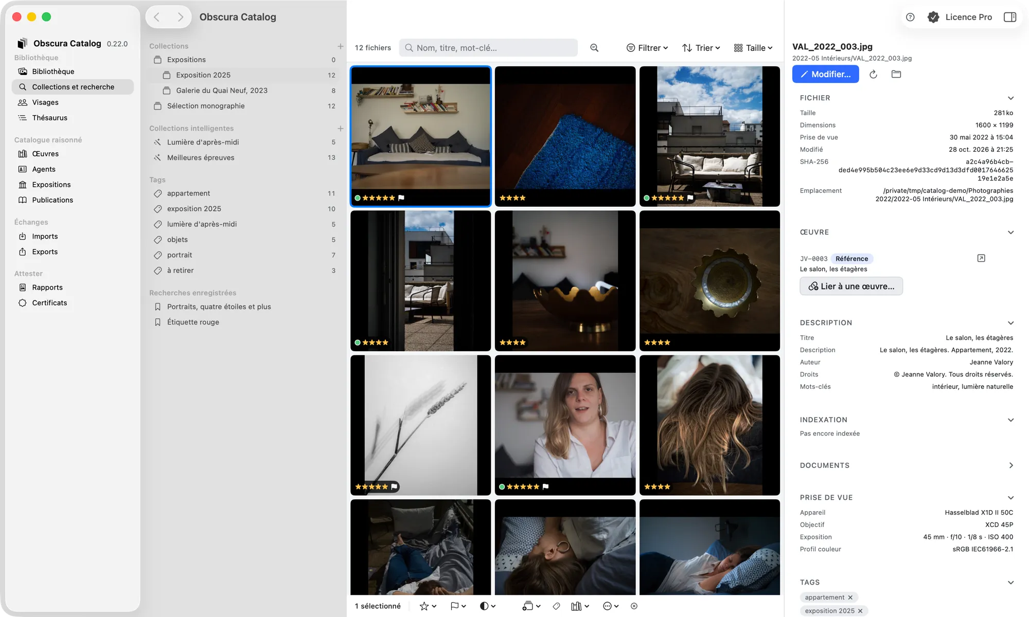 La section Collections et recherche : collections imbriquées, collections intelligentes, tags avec leurs nombres, recherches enregistrées